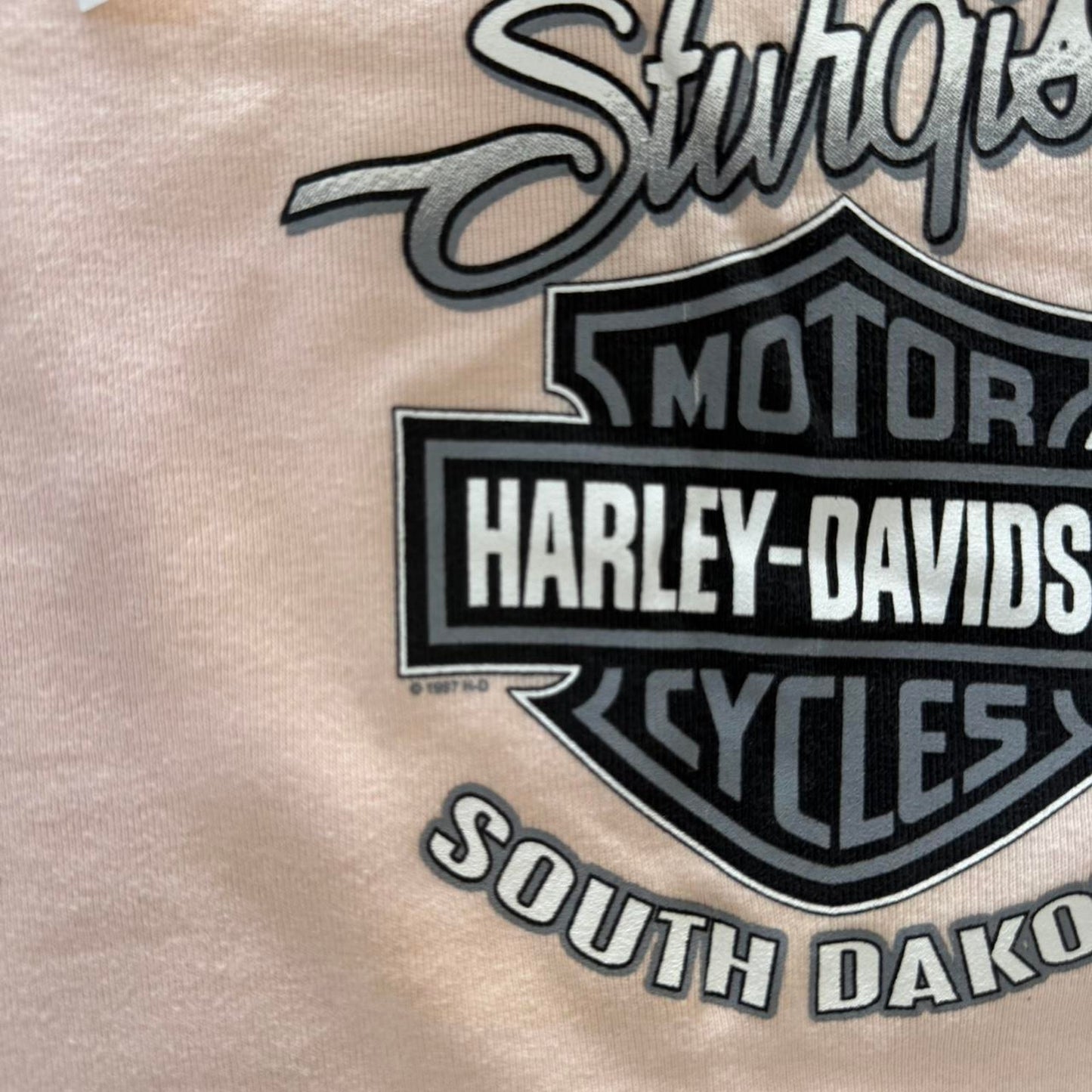 Vintage Harley Davidson Sturgis Biker T-Shirt - X-Large (W)