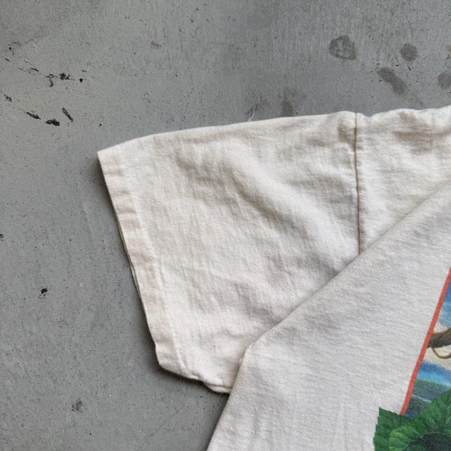 Vintage 90s Friends in High Places Rainforest Frog Animal T-Shirt - Large