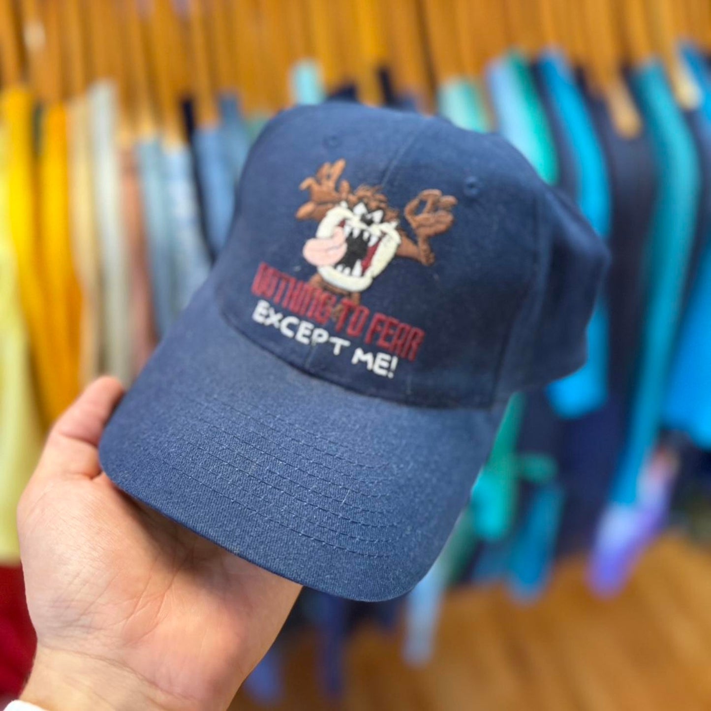 Vintage 90s Taz Looney Tunes Cartoon Snapback