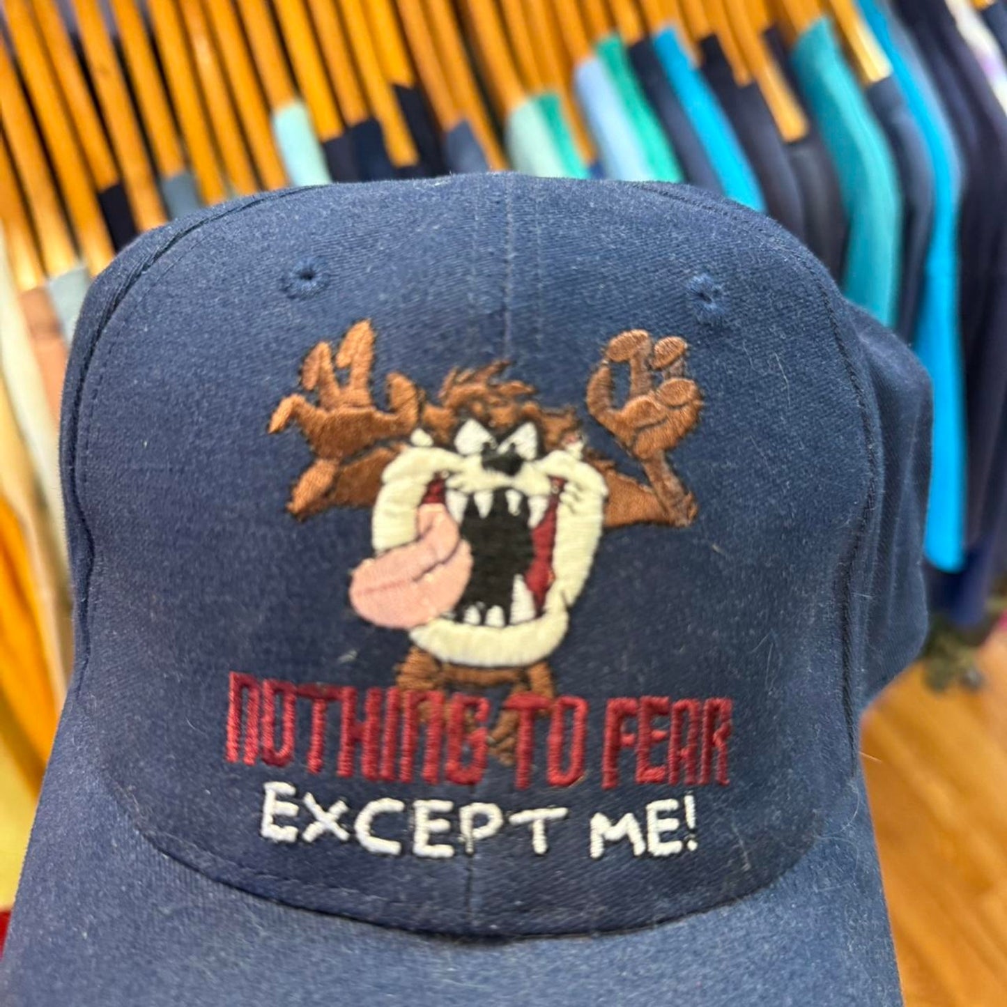 Vintage 90s Taz Looney Tunes Cartoon Snapback