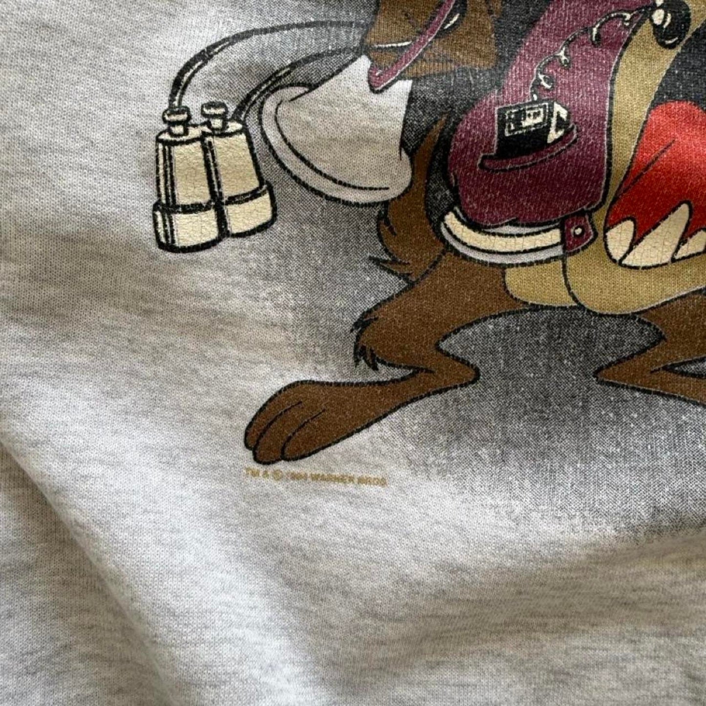 Vintage 90s Shenandoah University Mustangs Taz Looney Tunes Crewneck  - X-Large