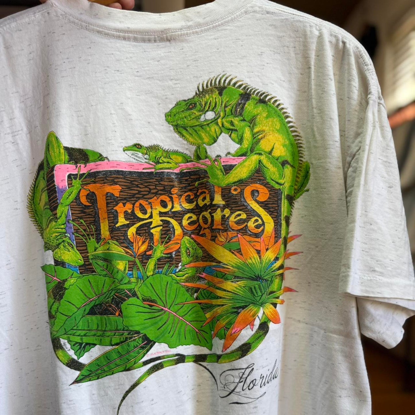 Vintage 90s Tropical Degrees Iguana Lizard T-Shirt - X-Large
