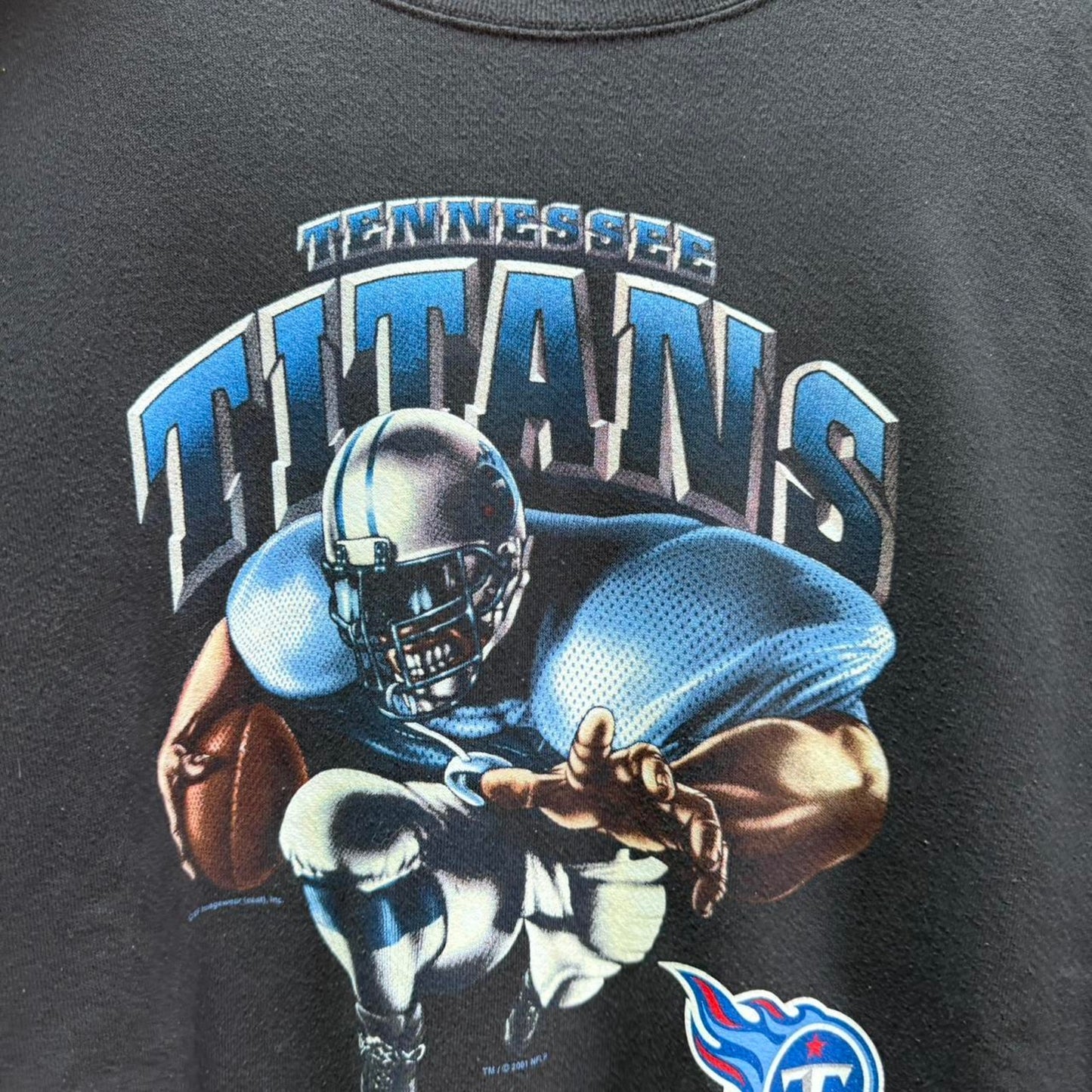 Vintage 90s Tennessee Titans Salem Sportswear Crewneck