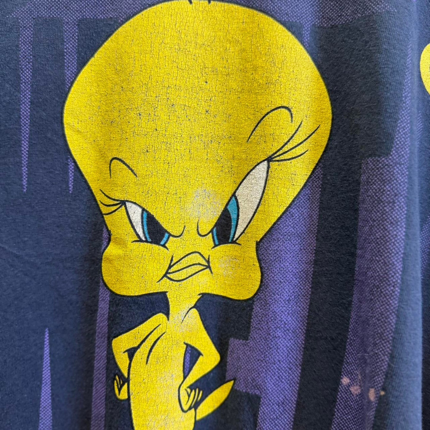 Vintage 90s Tweety Cartoon Looney Tuned T-Shirt