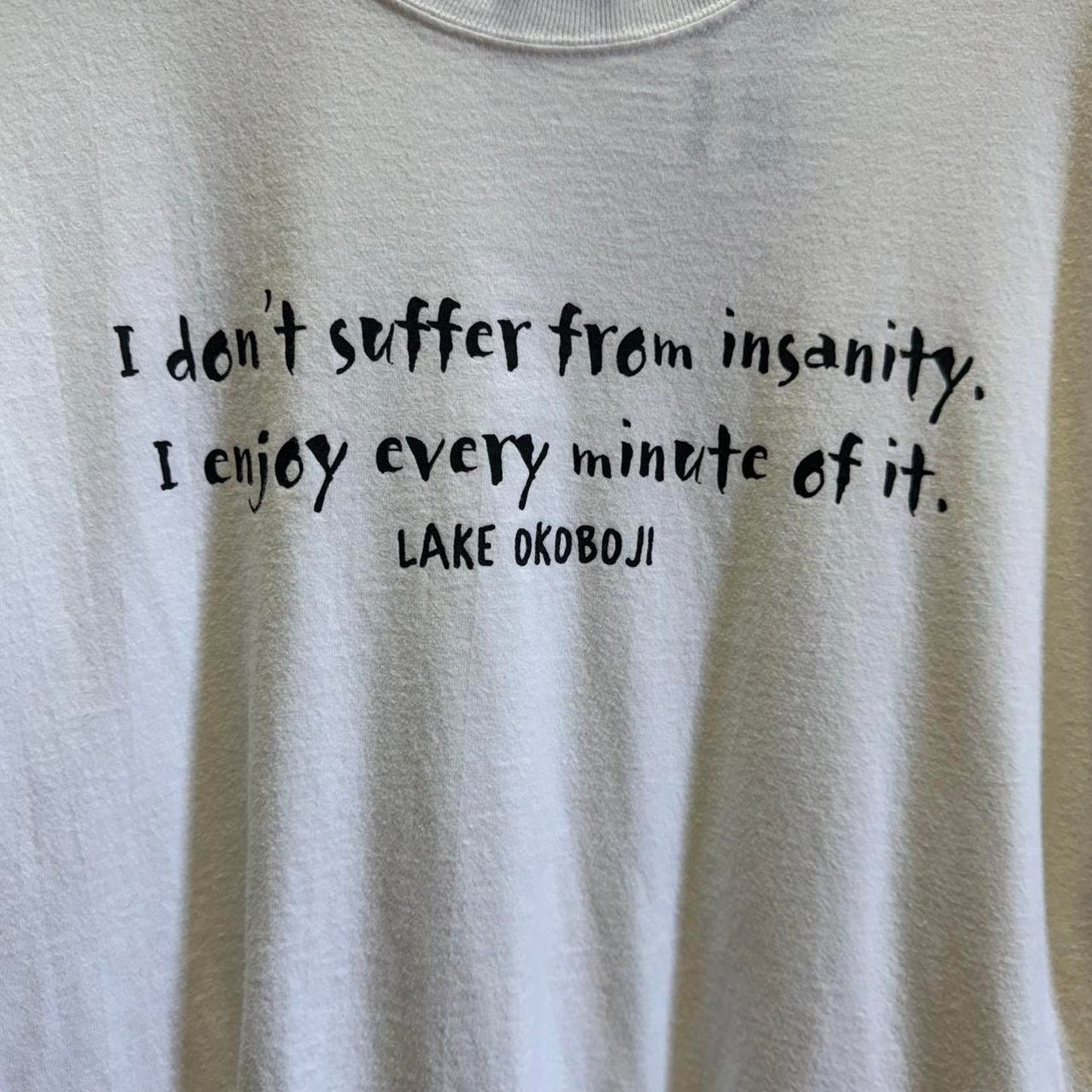 Vintage 90s Text Humor Insanity Lake Okoboji T-Shirt