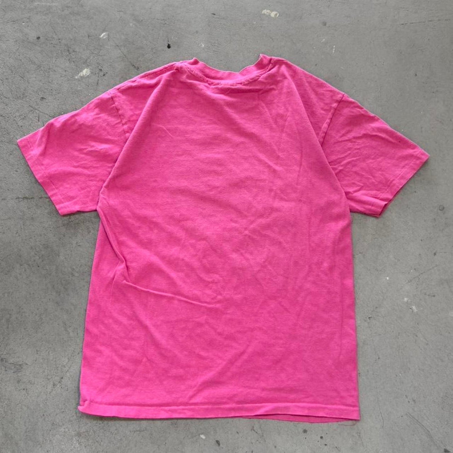 Vintage 90s Art Wolf Cactus Desert T-Shirt - Large