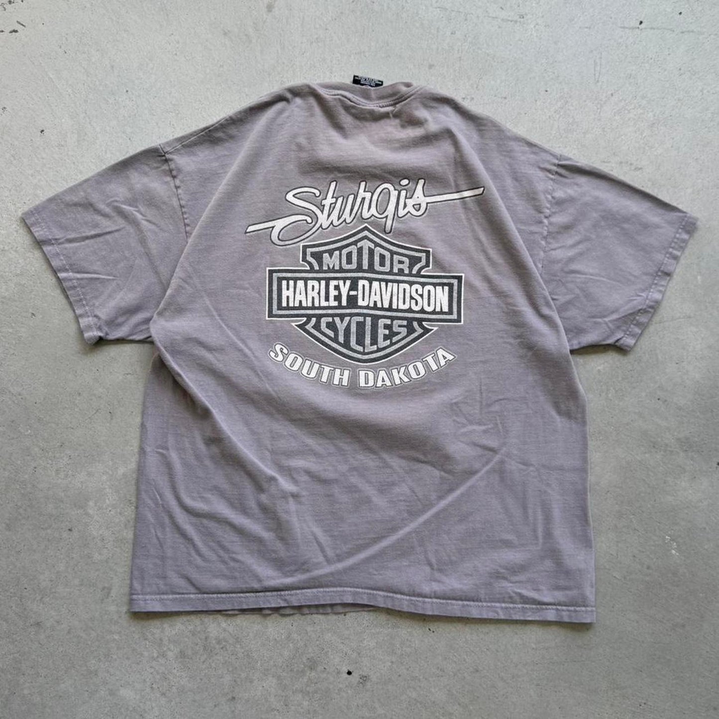 Vintage Harley Davidson Motorcycles Black Hills Rally Biker T-Shirt - X-Large