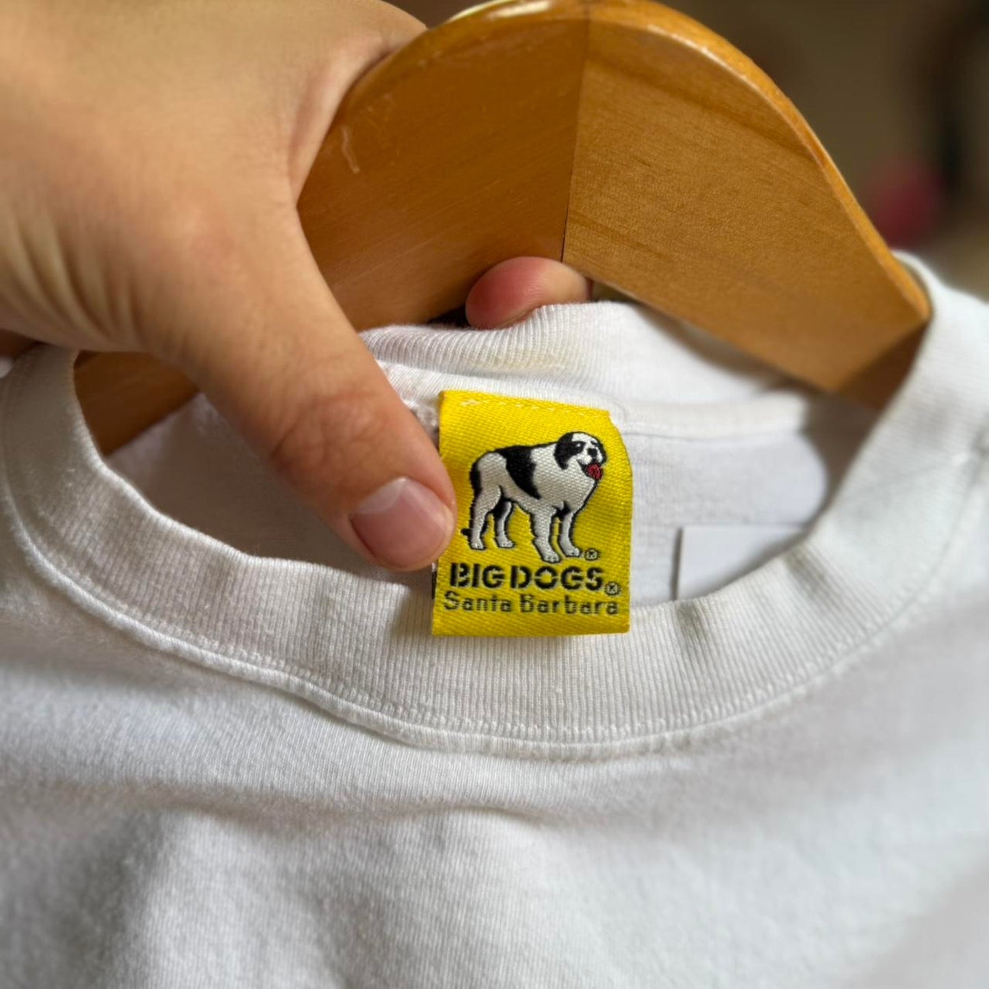Vintage 90s Big Dogs Lessons I Learned Animal T-Shirt
