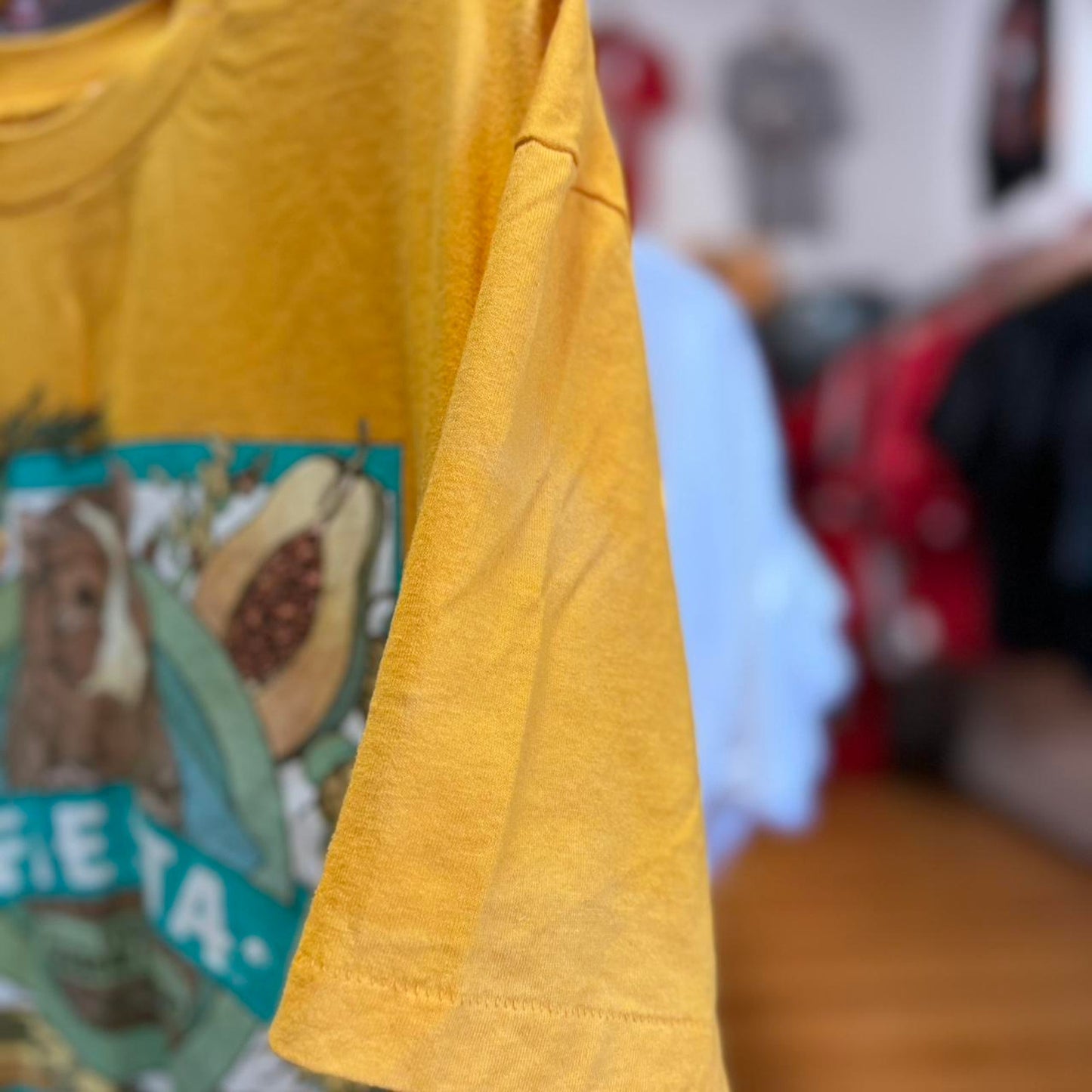 Vintage 90s Fiesta Animal Food Guinea Pig T-Shirt - Large