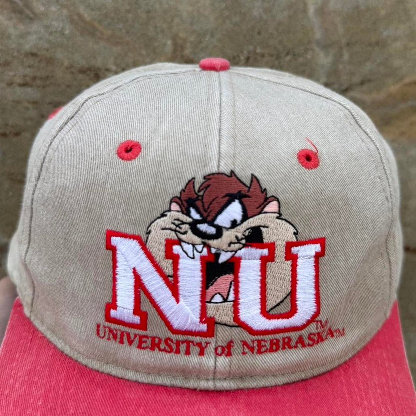 Vintage 90s University of Nebraska Huskers Taz Looney Tunes Snapback