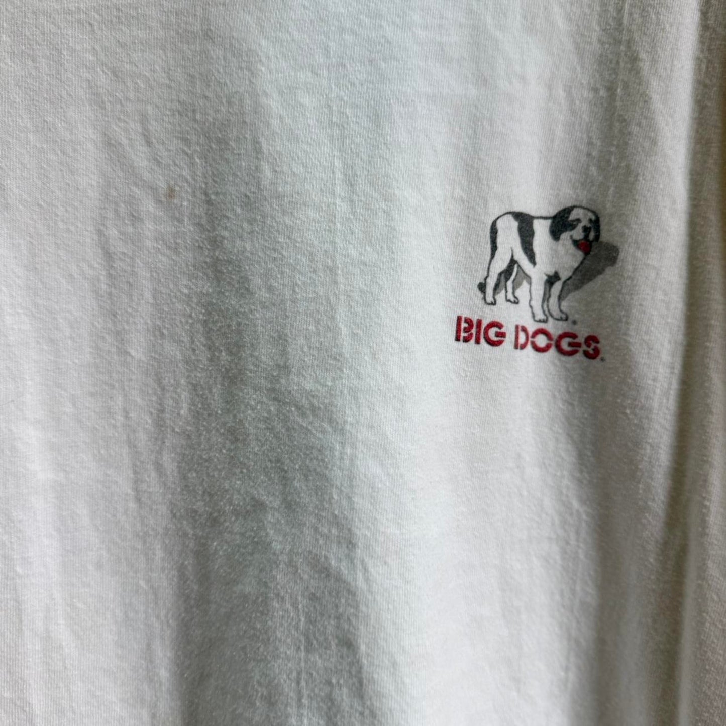 Vintage 90s Big Dogs Lessons I Learned Animal T-Shirt