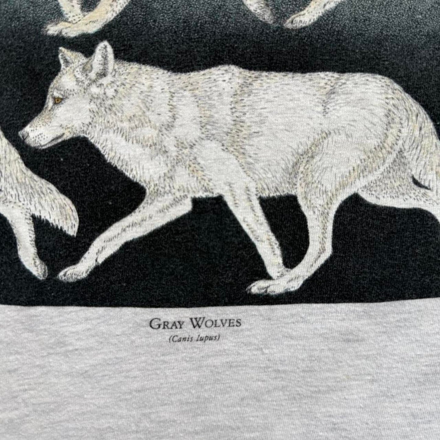 Vintage 90s Wolf Animal Nature Art Style T-Shirt - X-Large