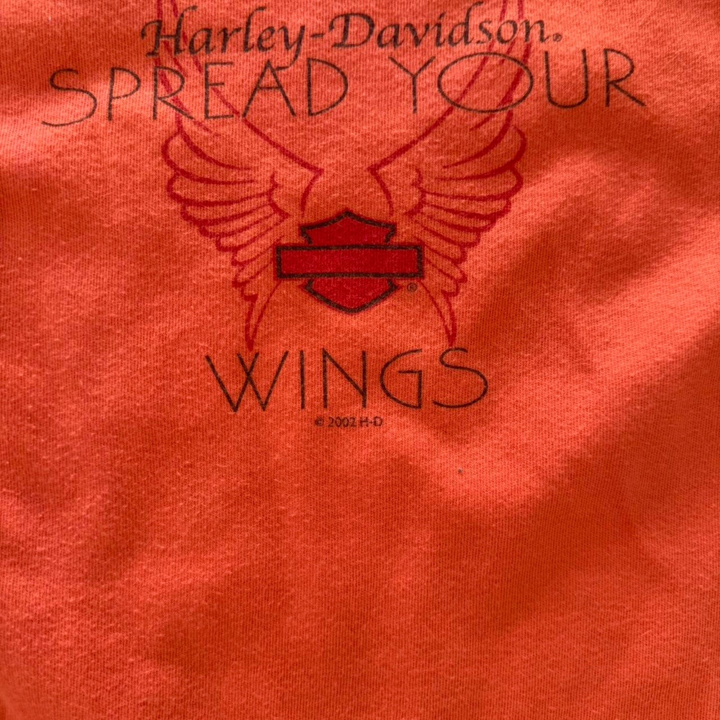 Vintage Y2K Harley Davidson Motorcycles Spread Your Wings T-Shirt - Large (W)