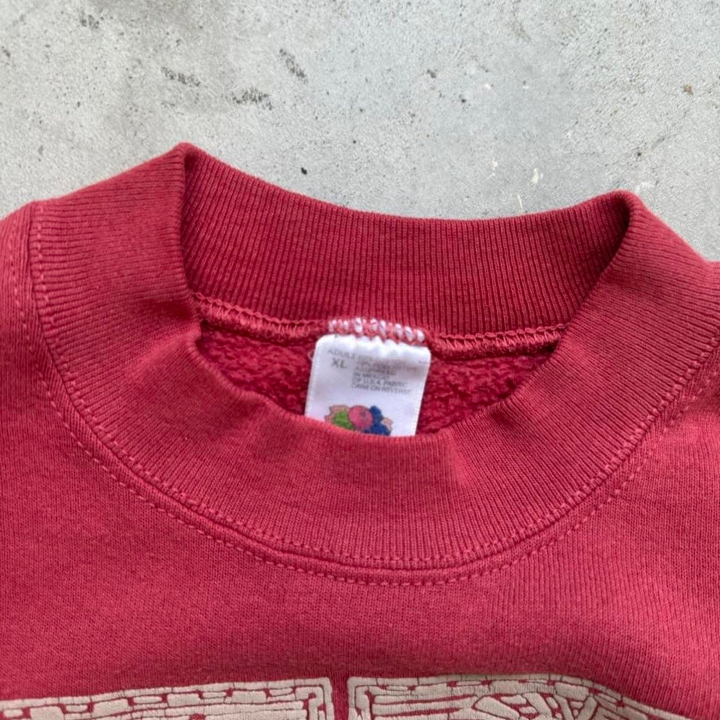 Vintage 90s Desert Wolf Nature Art Crewneck - X-Large
