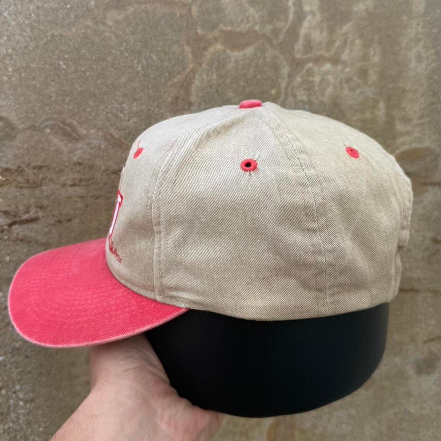 Vintage 90s University of Nebraska Huskers Taz Looney Tunes Snapback