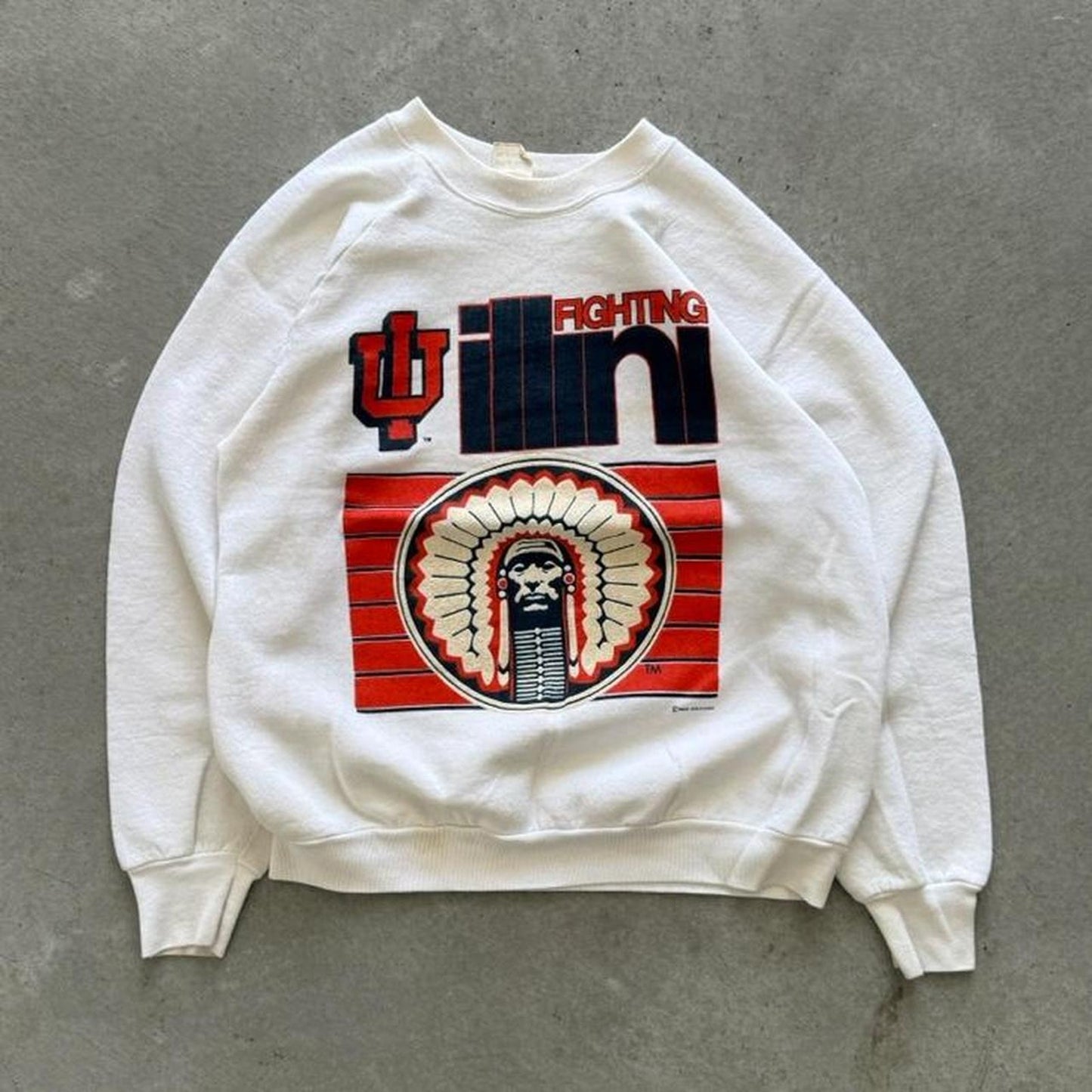 Vintage 80s University of Illinois Fighting Illini Crewneck - Large
