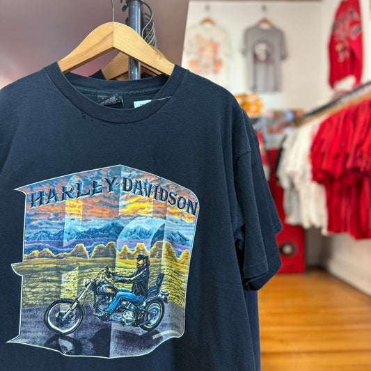 Vintage 90s Harley Davidson Sunset Biker T-Shirt