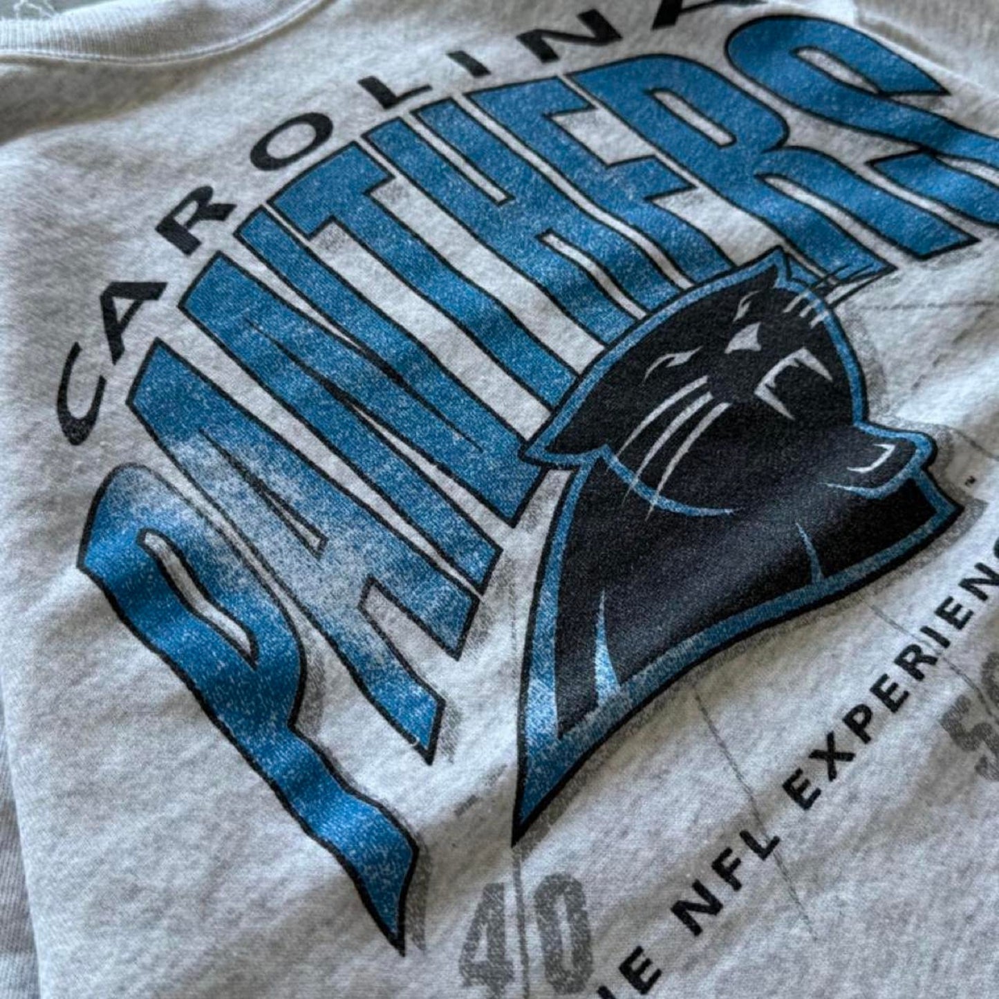 Vintage 90s Carolina Panthers NFL Football Crewneck - X-Large