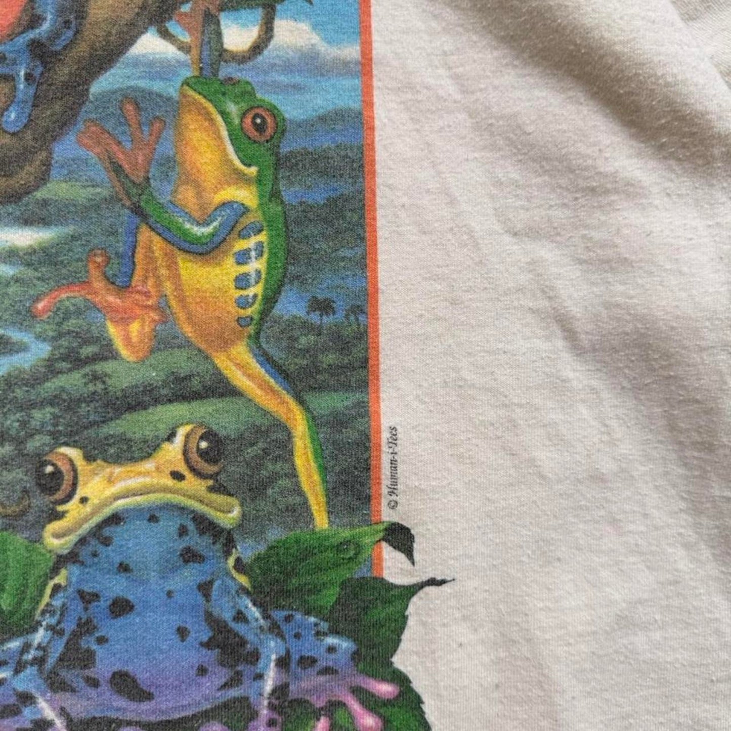 Vintage 90s Friends in High Places Rainforest Frog Animal T-Shirt - Large
