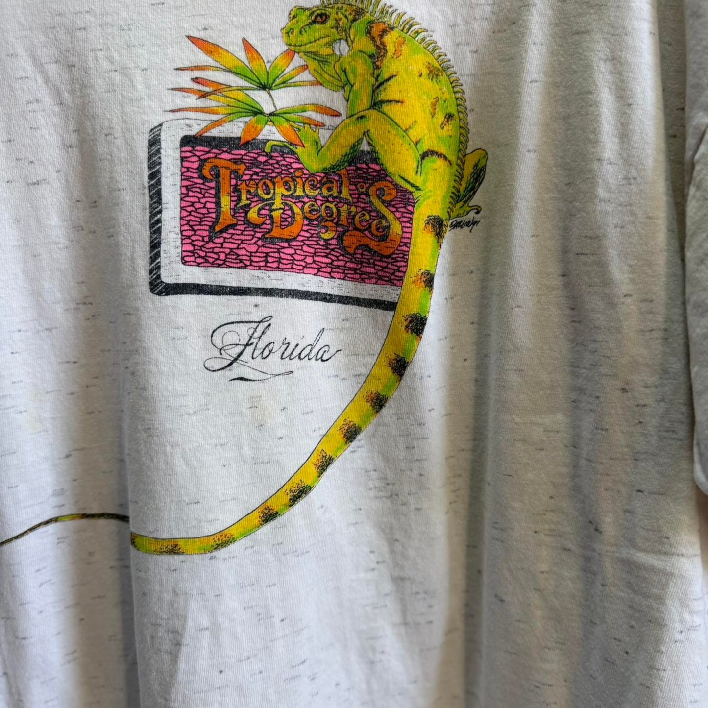 Vintage 90s Tropical Degrees Iguana Lizard T-Shirt - X-Large
