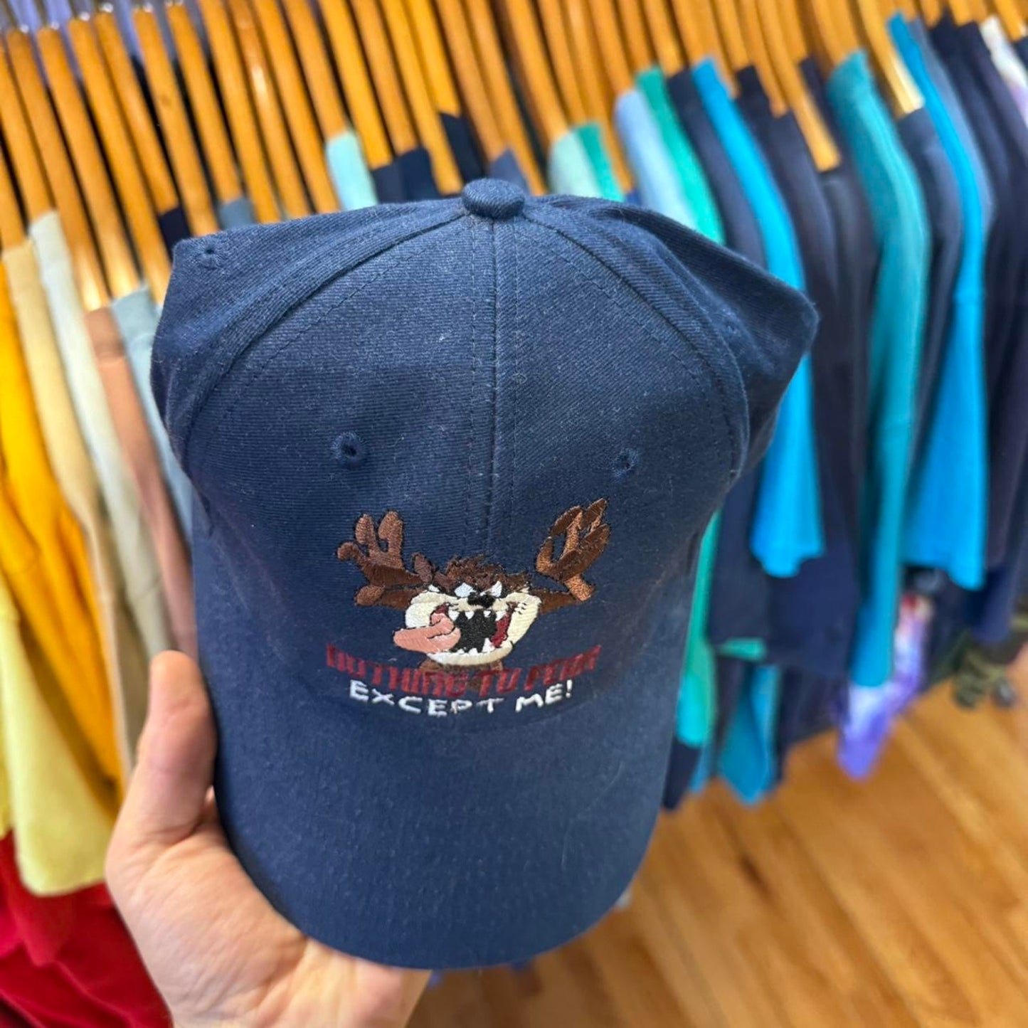 Vintage 90s Taz Looney Tunes Cartoon Snapback