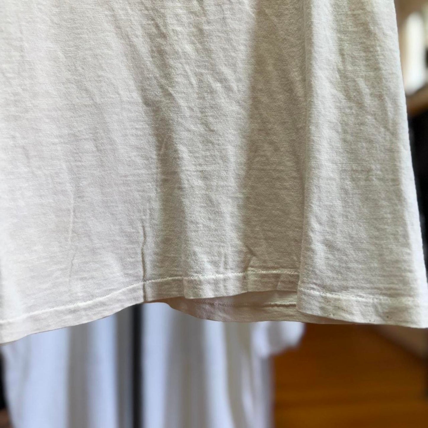 Vintage 80s Richard Nixon Which One is the Vegetable T-Shirt