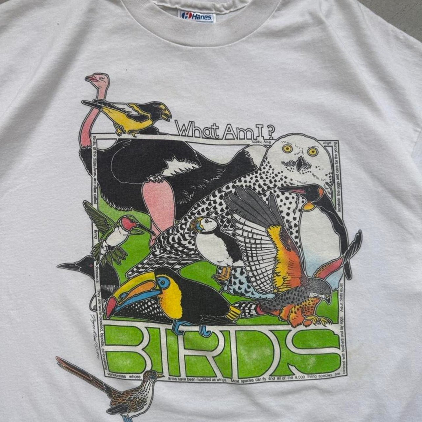 Vintage 90s Birds Animal Nature T-Shirt - XX-Large