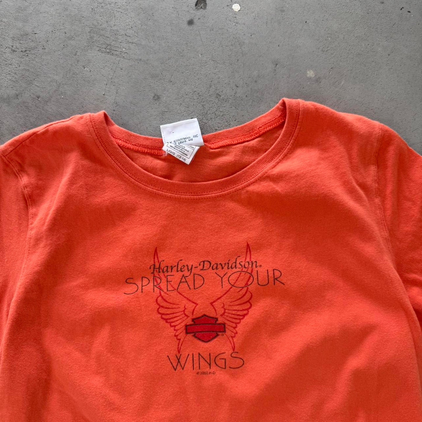 Vintage Y2K Harley Davidson Motorcycles Spread Your Wings T-Shirt - Large (W)