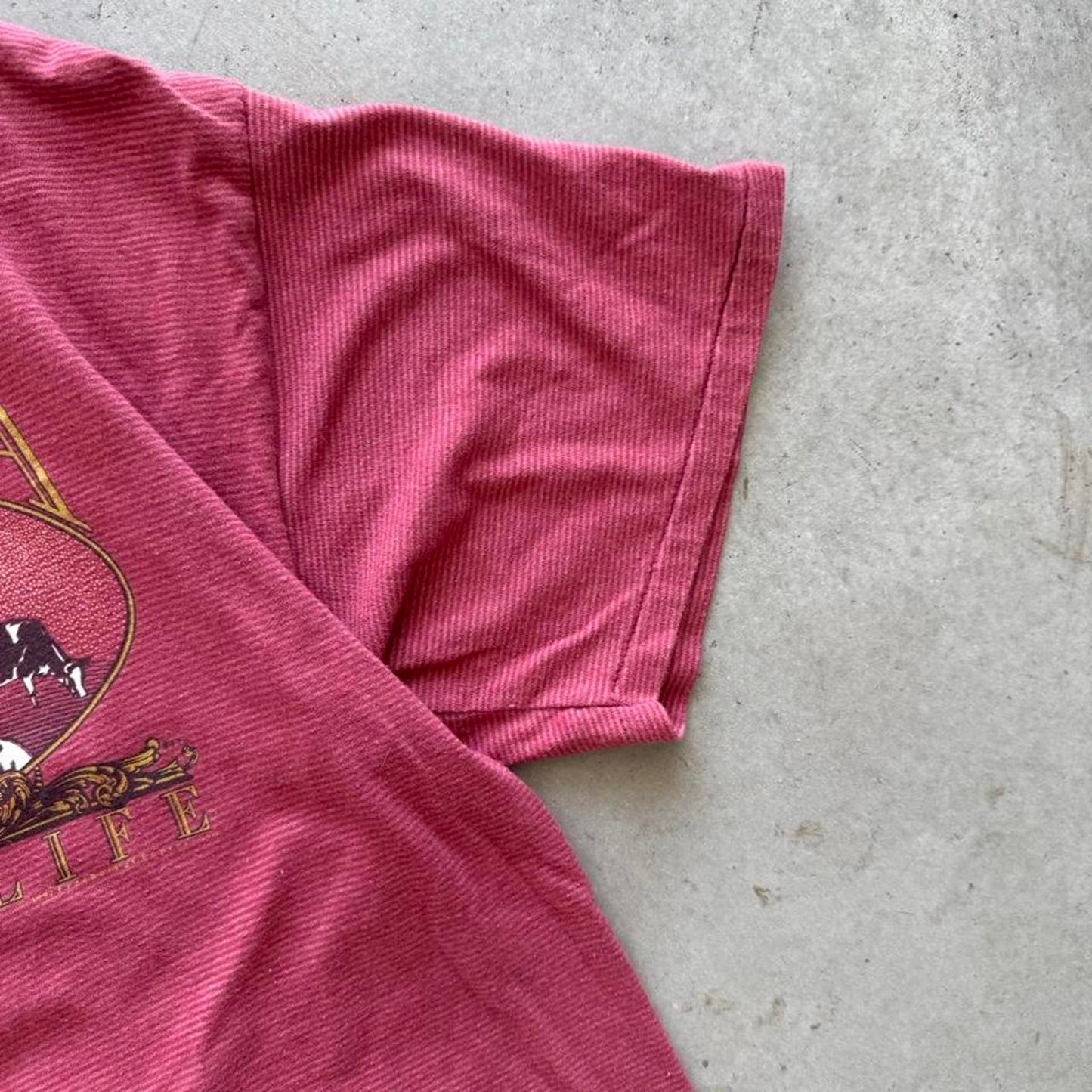 Vintage 90s Nebraska Cow Animal Farm T-Shirt - X-Large