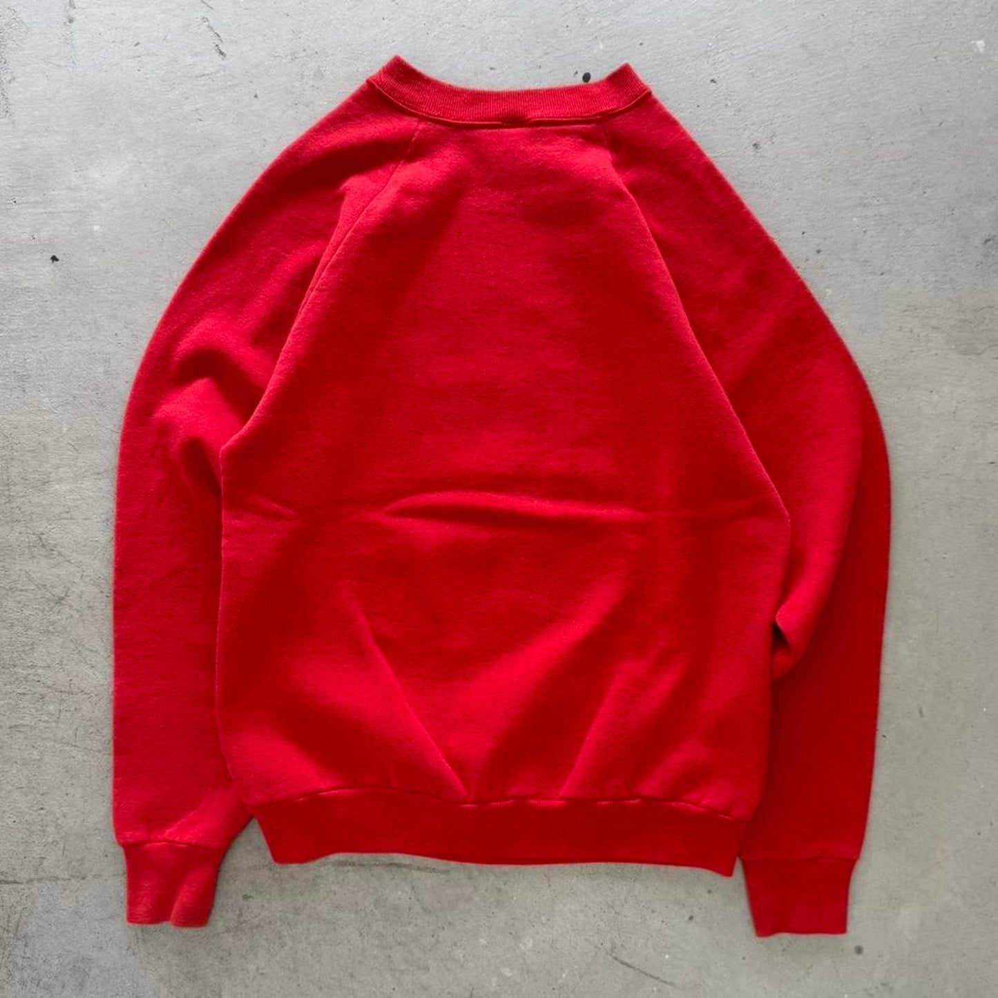 Vintage 90s Nebraska Duck Animal Nature Crewneck - Large