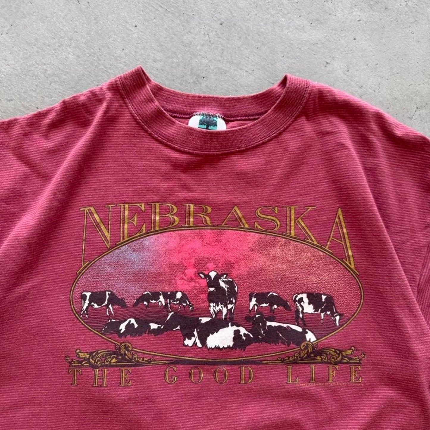 Vintage 90s Nebraska Cow Animal Farm T-Shirt - X-Large