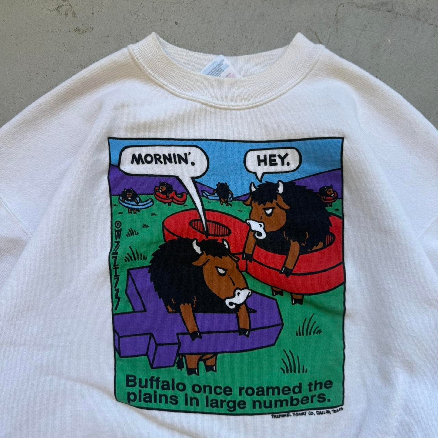 Vintage 90s Buffalo Once Roamed the Plains in Large Numbers Cartoon Crewneck  - X-Large