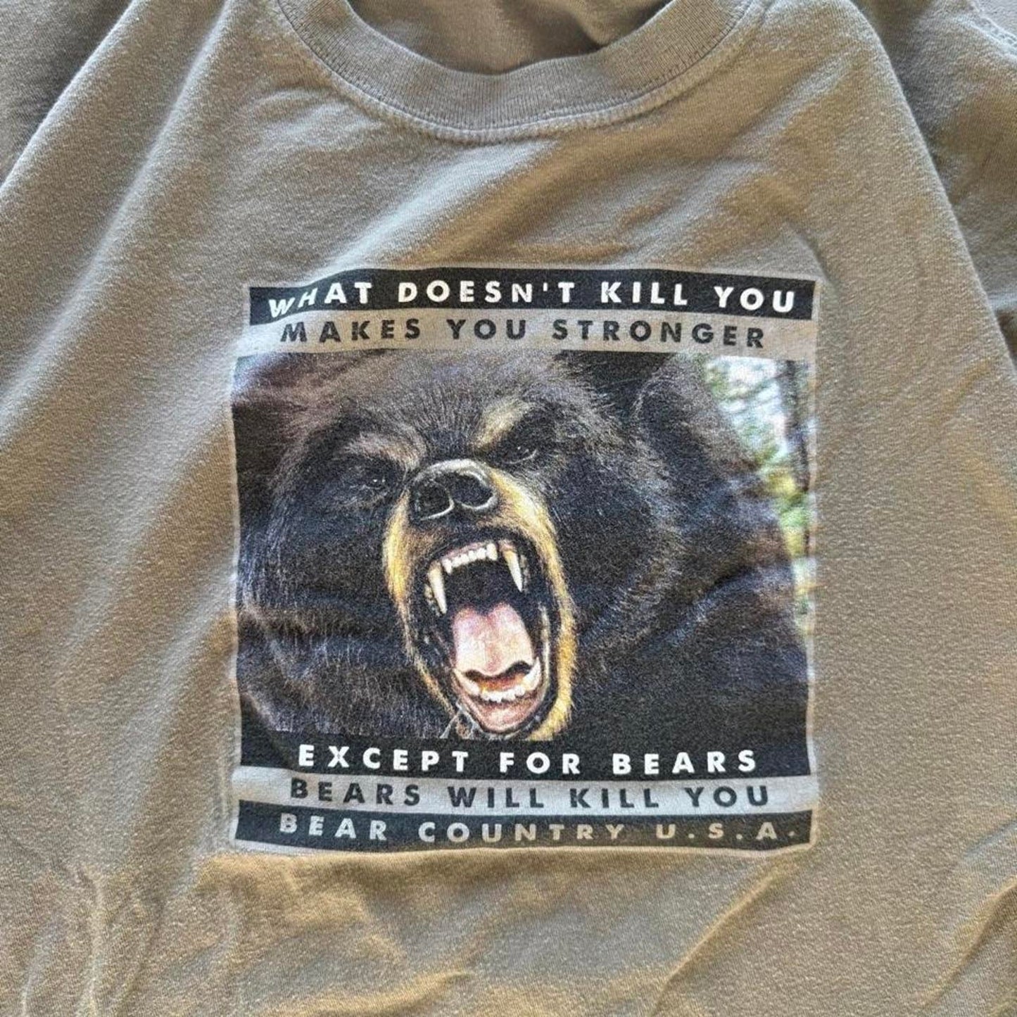 Vintage 90s Bear What Doesn’t Kill You T-Shirt - Large (W)