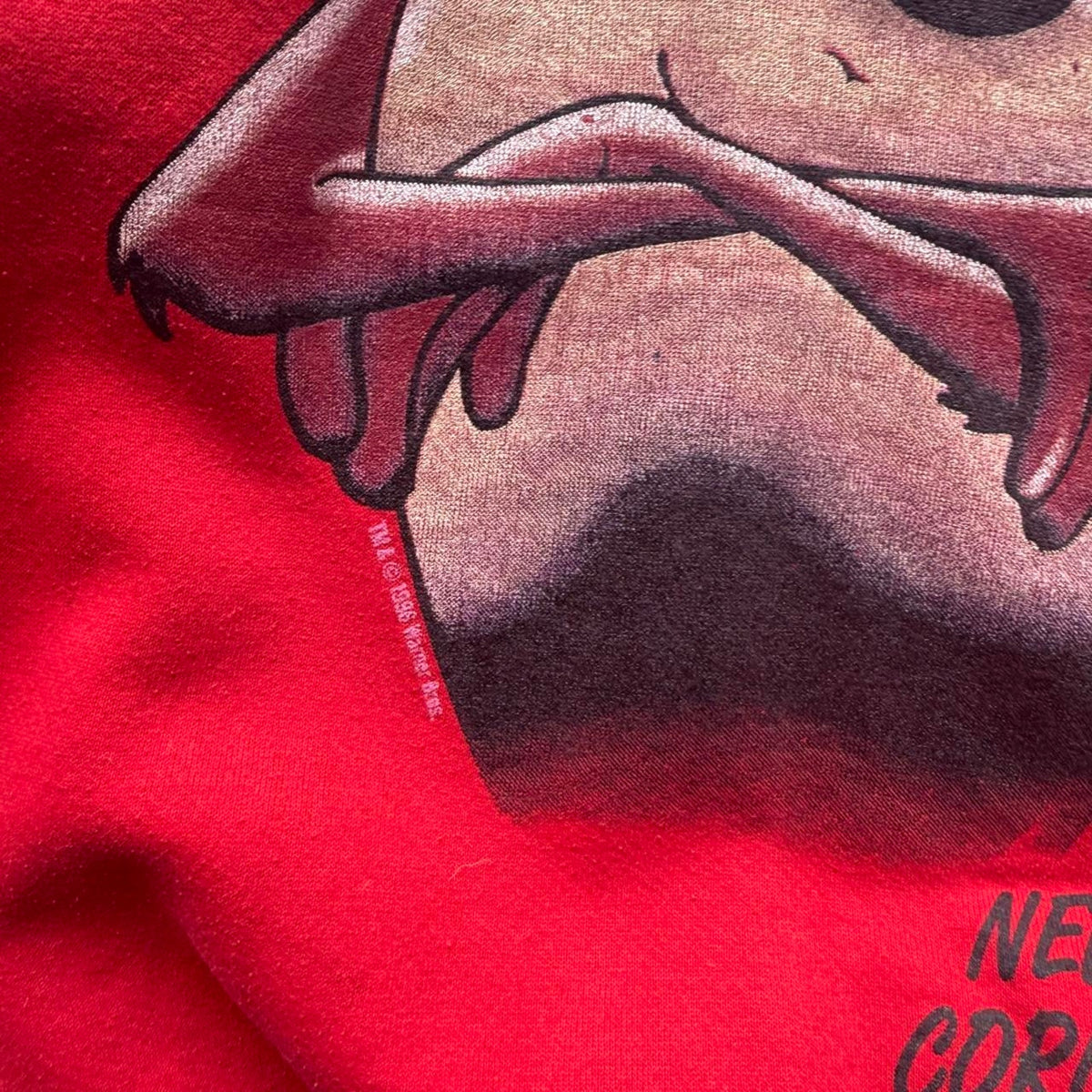 Vintage 90s Nebraska Huskers Taz Looney Tunes Cartoon Crewneck - Large