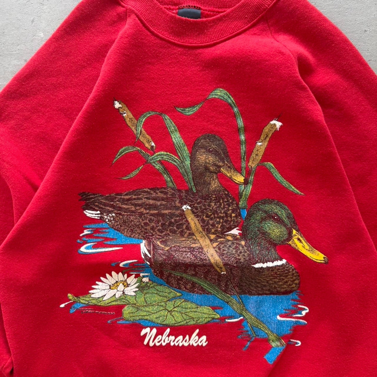 Vintage 90s Nebraska Duck Animal Nature Crewneck - Large