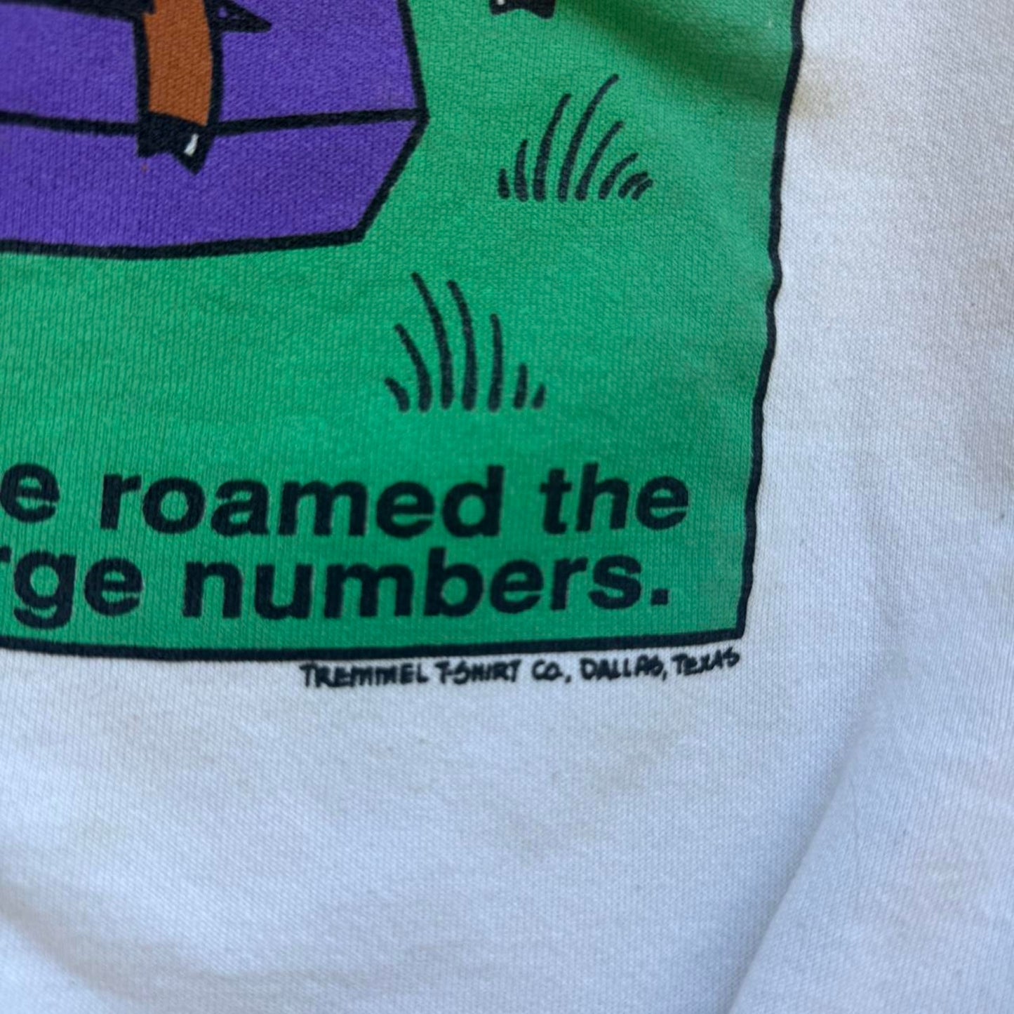 Vintage 90s Buffalo Once Roamed the Plains in Large Numbers Cartoon Crewneck  - X-Large
